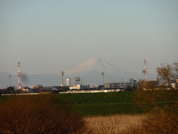 江戸川から見た富士山1.JPG